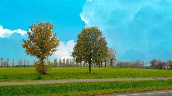 Parco della Vettabbia